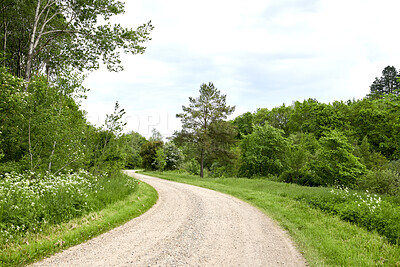 Buy stock photo Garden, forest or park with a path between lush green trees, plants and leaves in nature on a sunny spring day.  Scenic landscape to explore with a gravel road through an open meadow or plantation