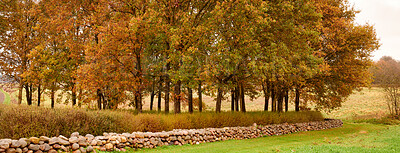 Buy stock photo Autumn forest