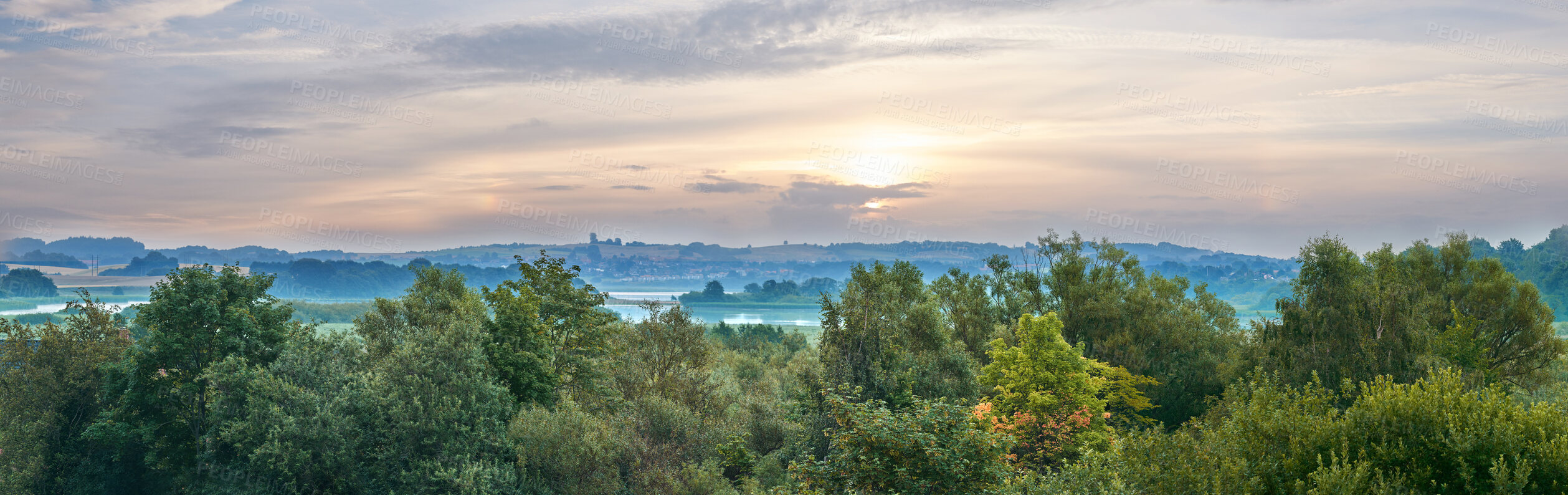 Buy stock photo Trees and forests of all types and seasons