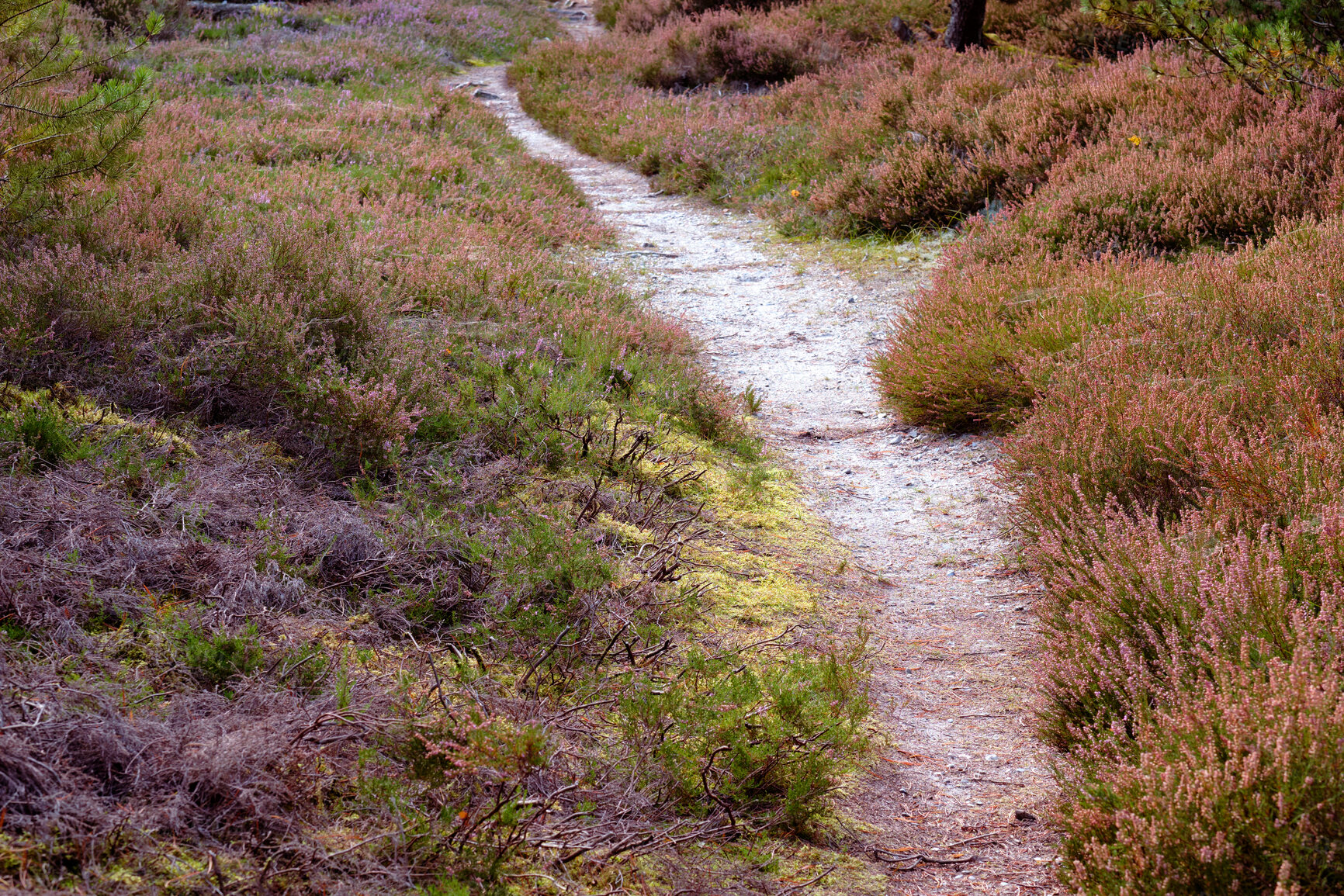 Buy stock photo A road from here to there