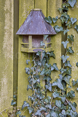 Buy stock photo A series of beautiful garden photos