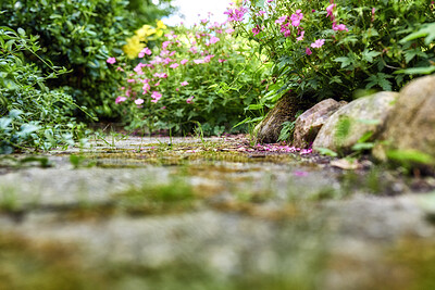 Buy stock photo A series of beautiful garden photos