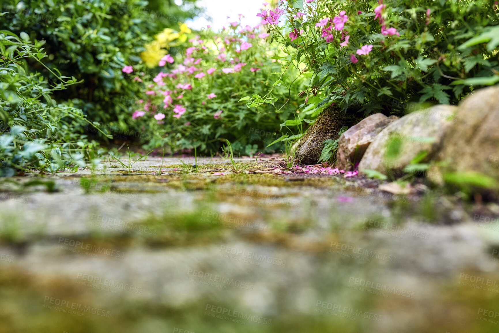 Buy stock photo A series of beautiful garden photos