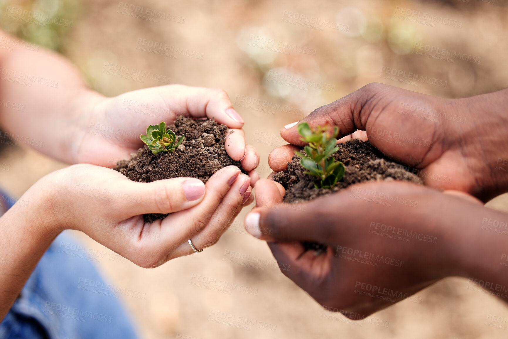 Buy stock photo Interracial, people and hands with soil for natural growth, sprout or care in outdoor nature. Closeup of team or community holding seed, leaf or sapling for agriculture or eco friendly environment