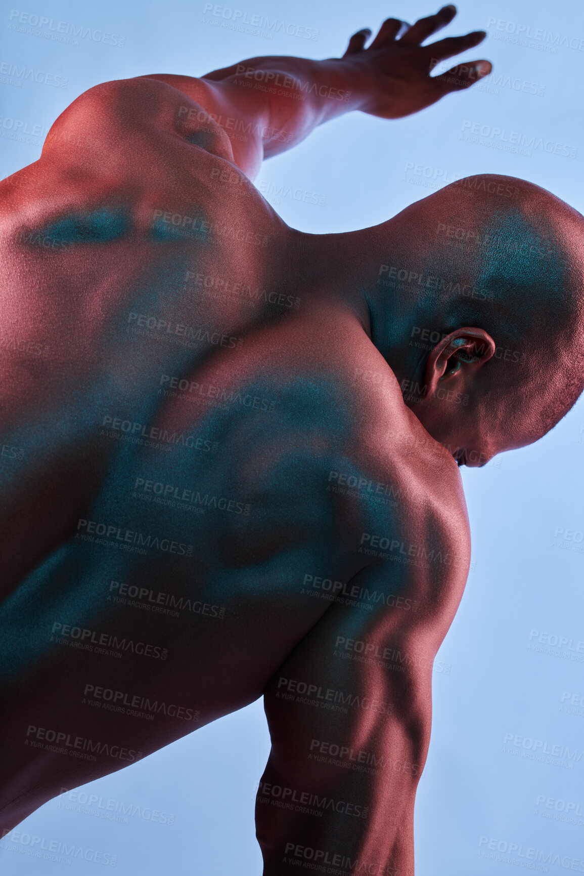 Buy stock photo Body, muscles and back of black man in studio for fitness, results and healthy lifestyle on blue background. Biceps, shoulders and African male model posing for training, strong and fitness aesthetic