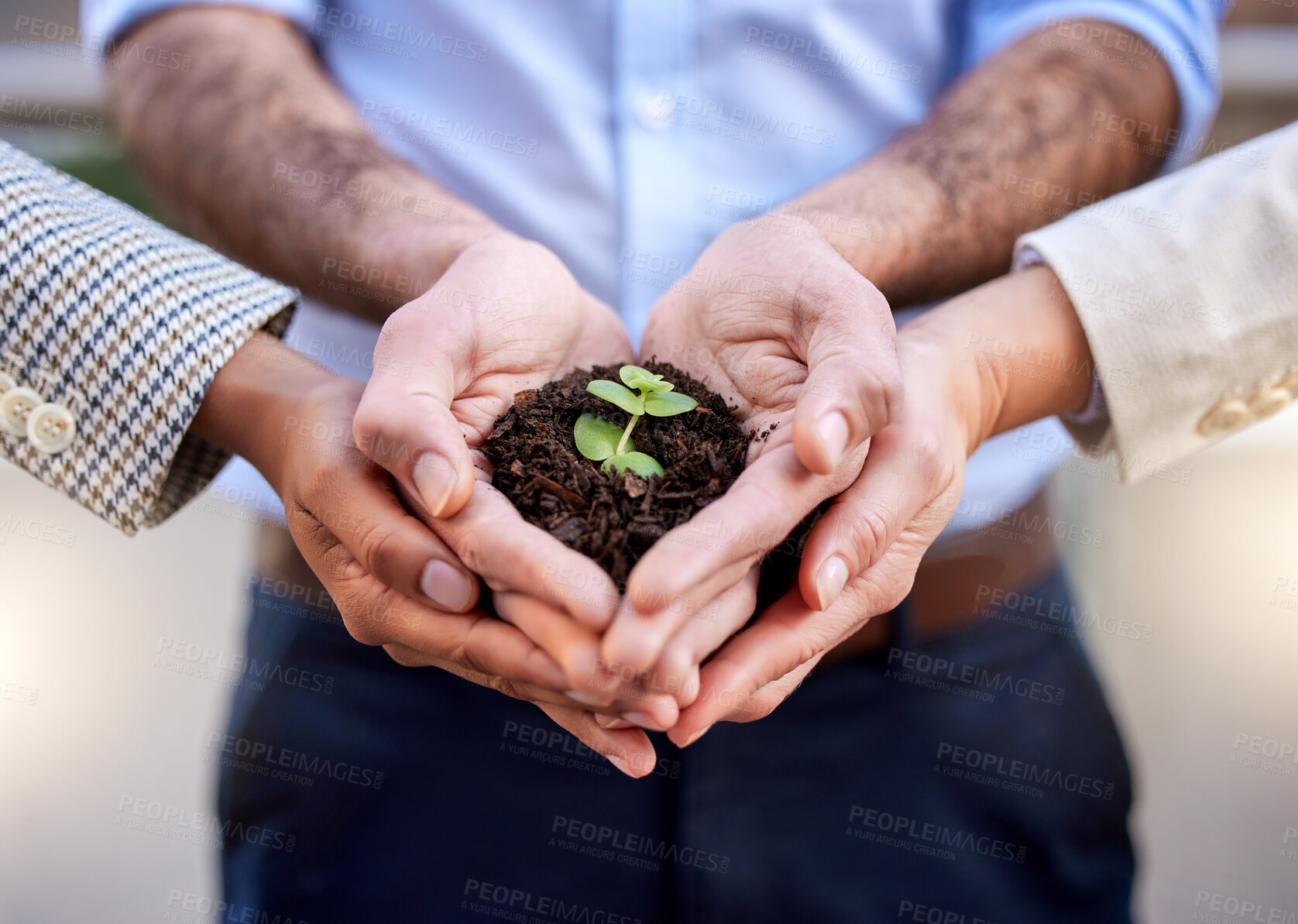 Buy stock photo Shot of a group of unrecognizable businesspeople holding a plant in soil at work