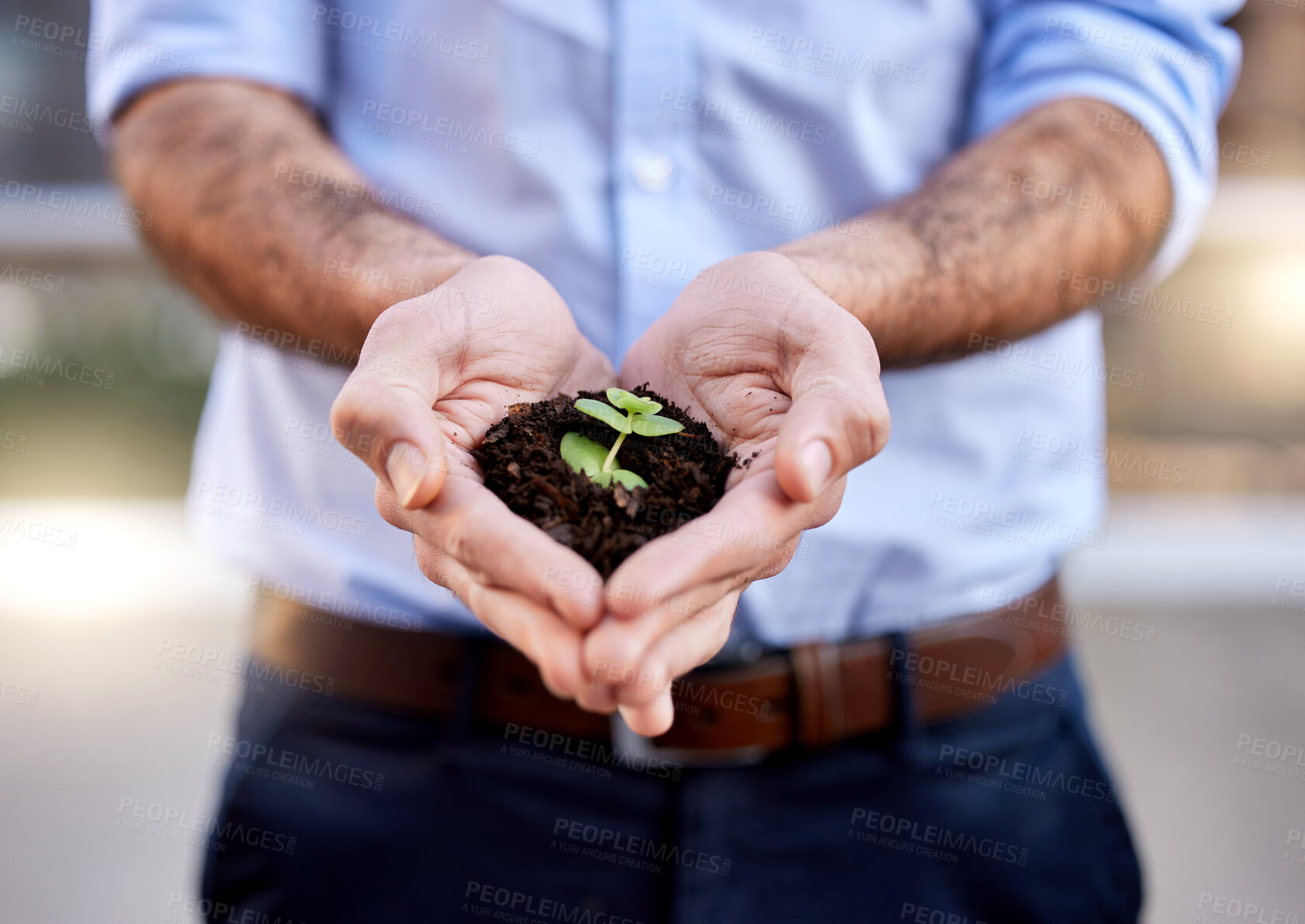 Buy stock photo Shot of an unrecognizable businessperson holding a plant in soil at work