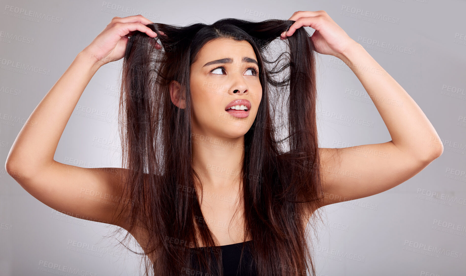 Buy stock photo Hair care, confused and woman in studio with problem for cosmetic crisis, hairstyle or split ends with gray background. Damaged, beauty and hands of model for hairloss, salon stress or tangle strand