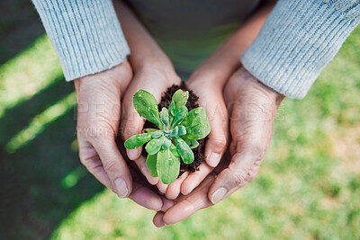 Buy stock photo Shot of an unrecognizable little boy and his grandmother holding plants growing out of soil