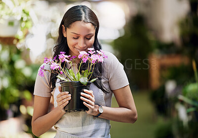 Buy stock photo Shot of a young business owner holding a pot plant in a nursery