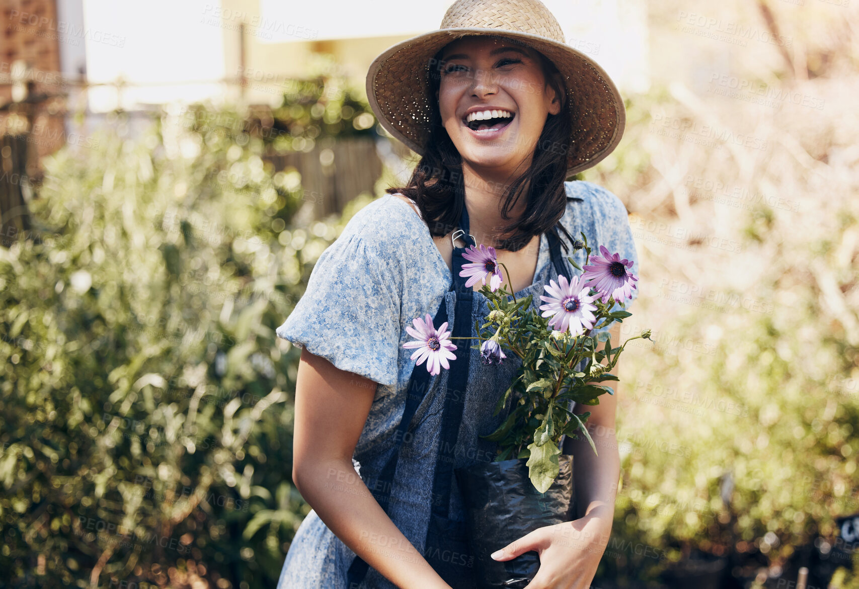 Buy stock photo Flowers, gardening and woman with plant in outdoor for environment, sustainability or ecology. Nature, laughing and happy female person for green nursery, agriculture or landscaping in backyard