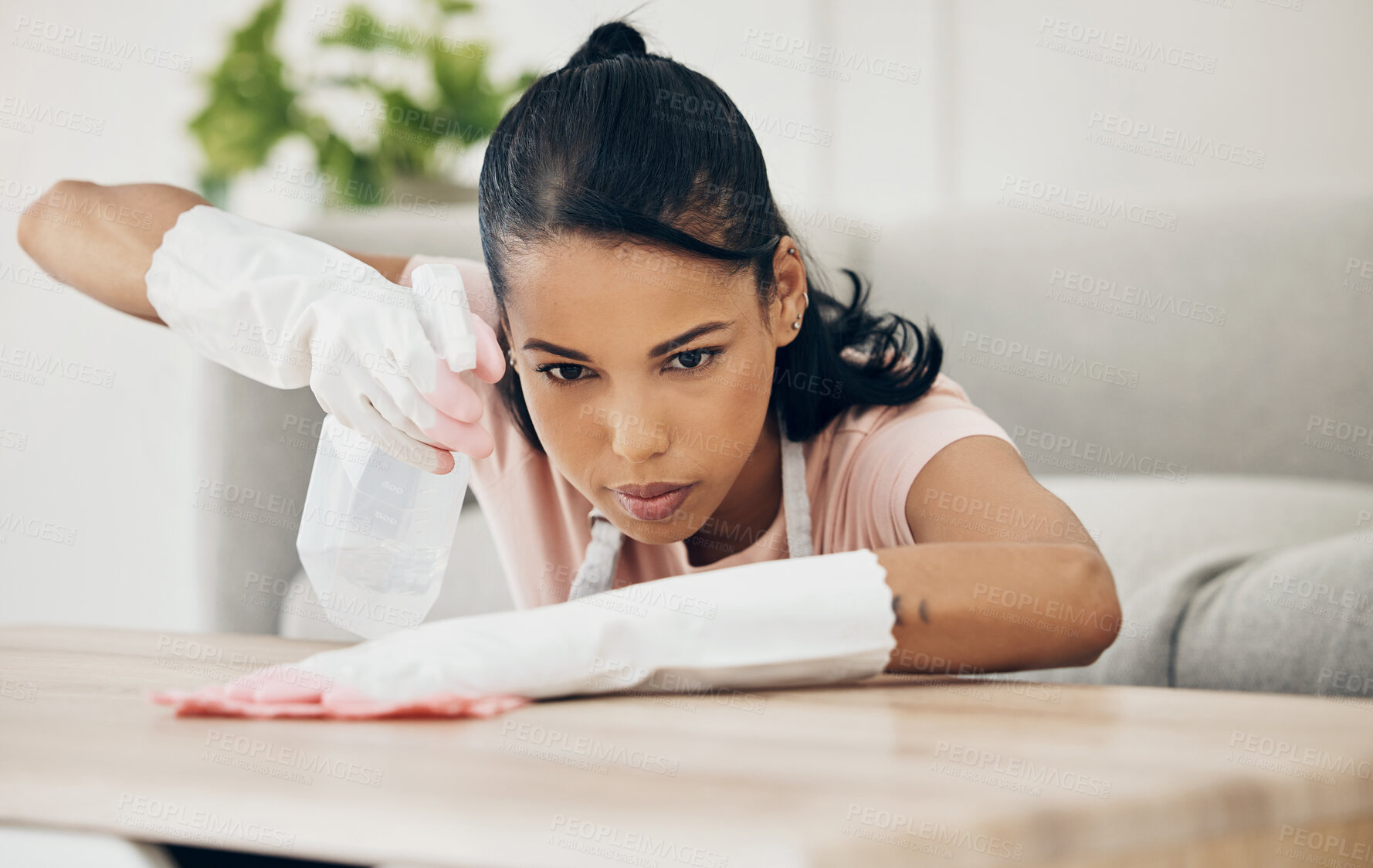 Buy stock photo Woman, chemical spray and cleaning wooden table, hygiene with household maintenance and detergent. Female cleaner, disinfectant and wipe or clean dirt with cloth from surface and janitor service