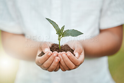 Buy stock photo Shot of an unrecognizable little boy holding plants growing out of soil
