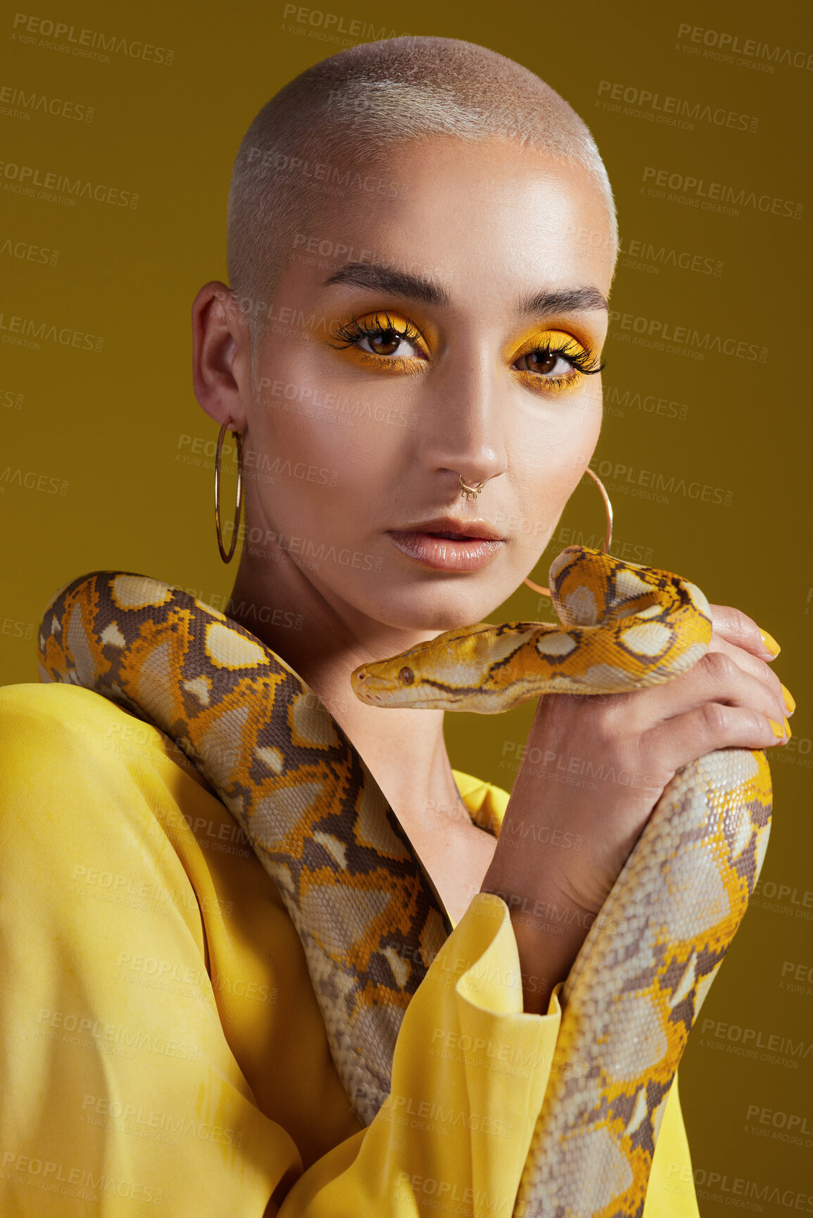 Buy stock photo Shot of a fashionable woman holding a snake while modelling a yellow concept