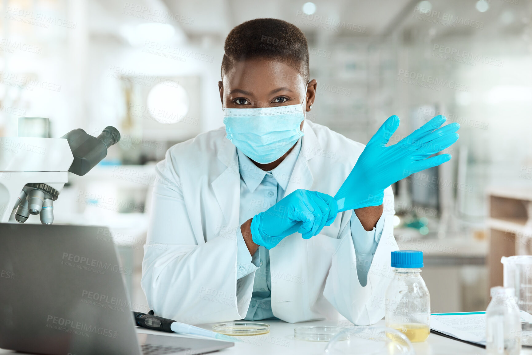 Buy stock photo Shot of a young scientist sitting alone in her laboratory and putting surgical gloves on