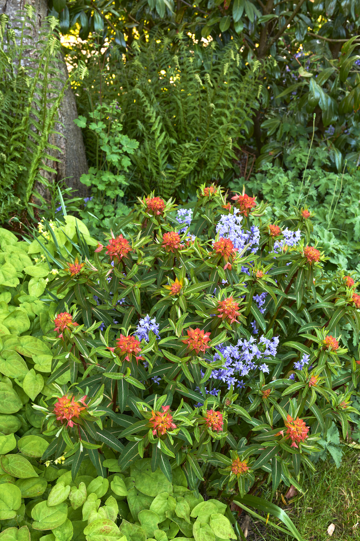 Buy stock photo A series of beautiful garden photos