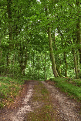 Buy stock photo A road from here to there