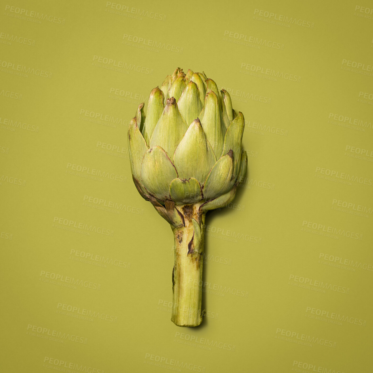 Buy stock photo Crop, artichoke and healthy in studio, vegetable and space for food, nutrition and diet with vitamin. Green background, raw and organic for dinner of salad, meal and wellness of  flower in mockup