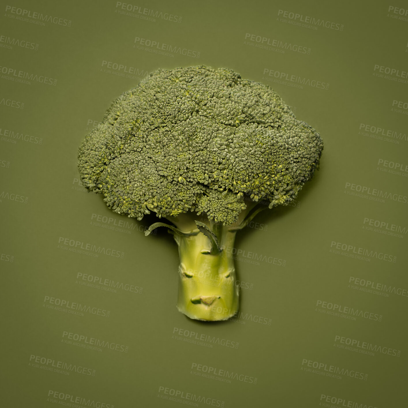 Buy stock photo Shot of a broccoli floret against a studio background