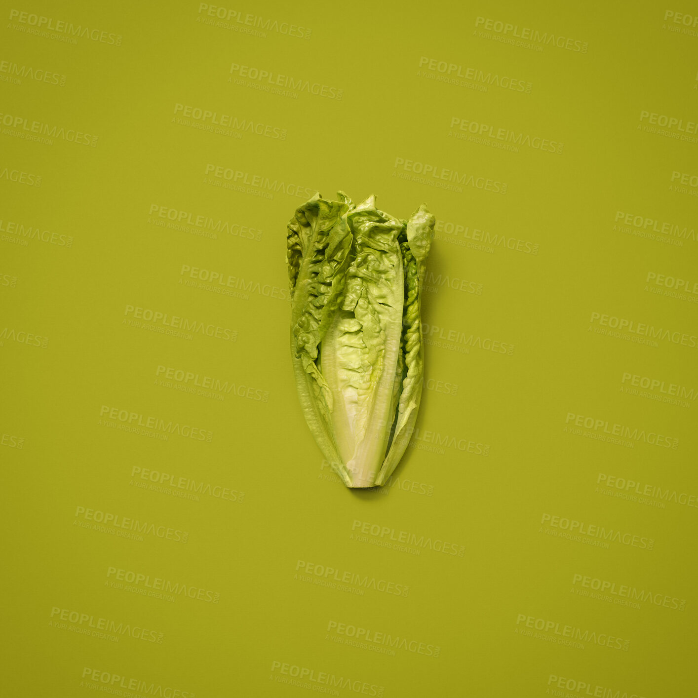 Buy stock photo Organic, lettuce and healthy in studio, vegetable and space for food, wellness and diet with vitamin. Nutrition, raw and ingredients for dinner of salad, meal and crops for menu of vegan in mockup