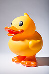 Giant Rubber Duck