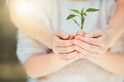 Buy stock photo Shot of unrecognizable girls holding a plant outside