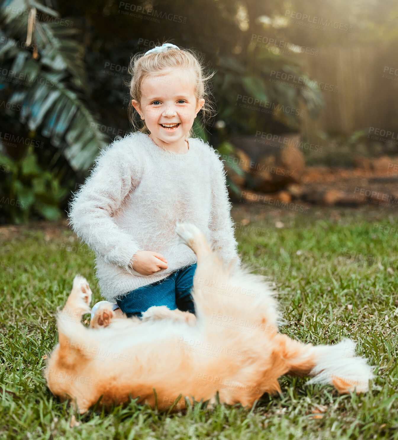 Buy stock photo Happy girl, bonding and playing with dog on grass for pet love or care for animal companion in garden. Smile, playful puppy or child with kitten in nature park for fun together, support or affection