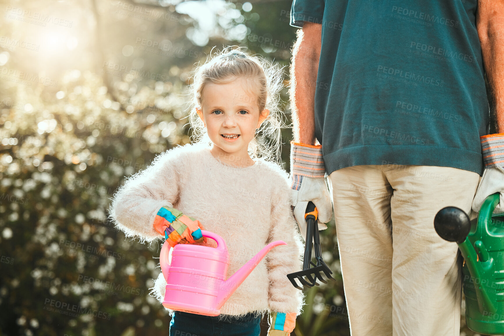 Buy stock photo Outdoor, grandfather and child in portrait with watering can, gardening and agriculture on countryside. Backyard, senior person and girl with equipment for nature growth, sustainability and bonding