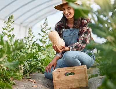 Buy stock photo Shot of a young woman holding a butternut while working on a farm