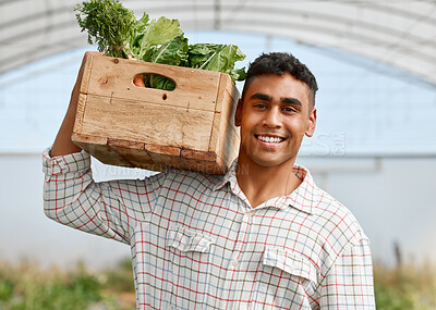 Buy stock photo Portrait of a young man holding a crate of fresh produce while working on a farm