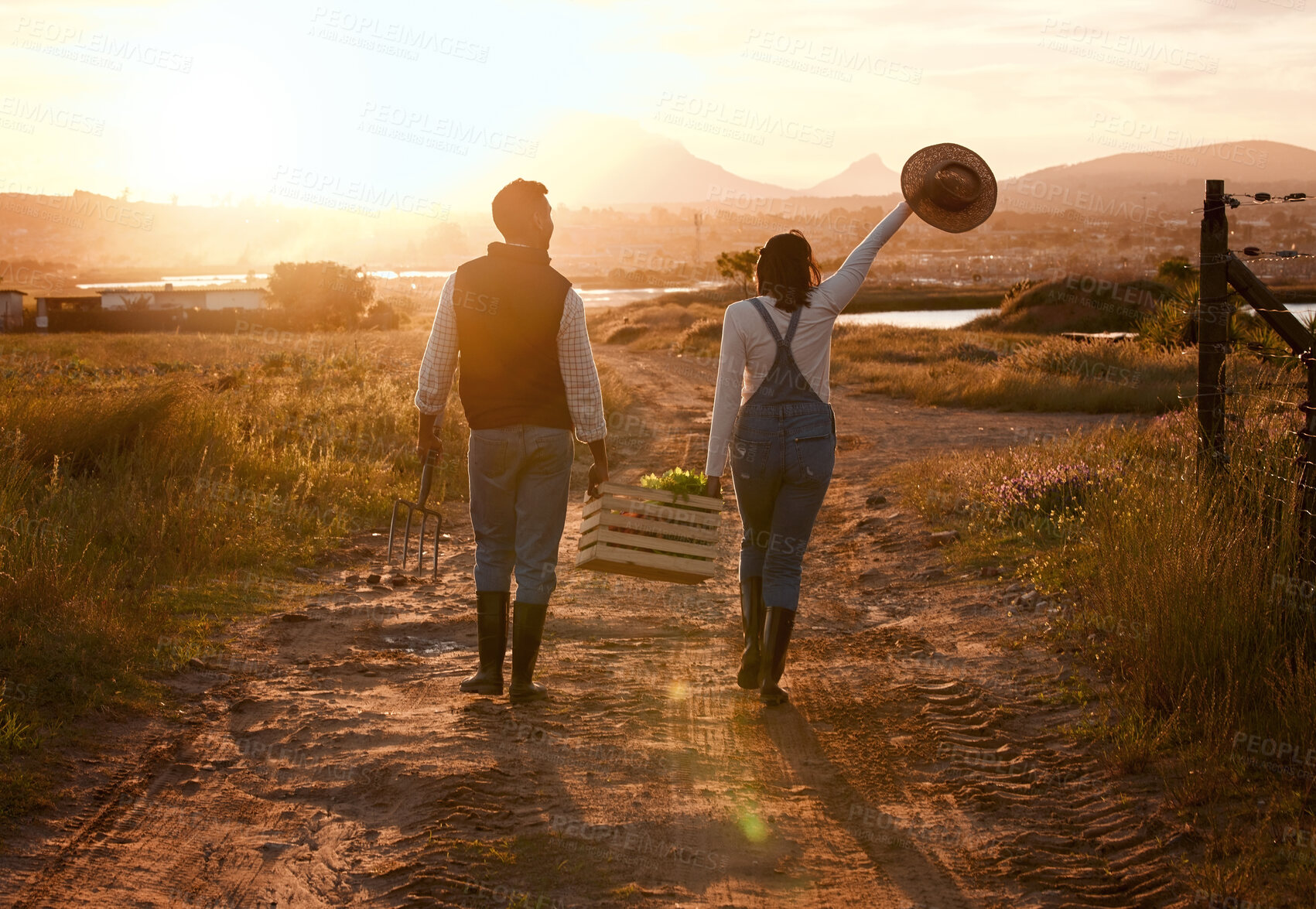 Buy stock photo Shot of two farmers carrying a crate and walking on a farm during sunset