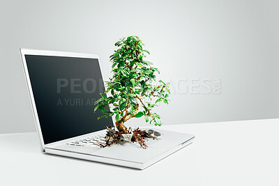 Bonsai tree growing out from a laptop in studio against a grey background
