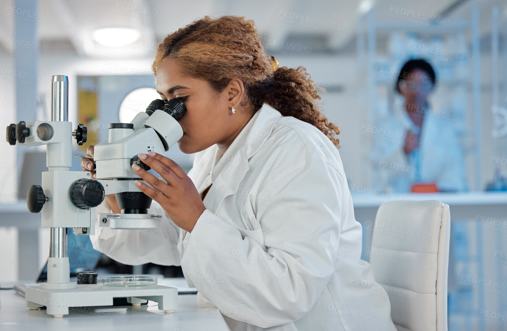 Buy stock photo Science, development and microscope with a woman at work in a laboratory for research or innovation. Healthcare, medical and investigation with a female scientist working in a lab for pharmaceuticals