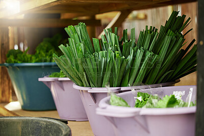 Buy stock photo Shelf, farming and container with vegetables for agriculture, storage and organic produce. Harvest, sustainable plants for nutrition in buckets for commercial food, vegan options and growth supply