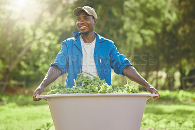 Buy stock photo Farm, nature and black man with vegetables in container for sustainable, produce or cultivation. Work, smile and agribusiness with basket in environment for eco friendly, gardening or organic harvest