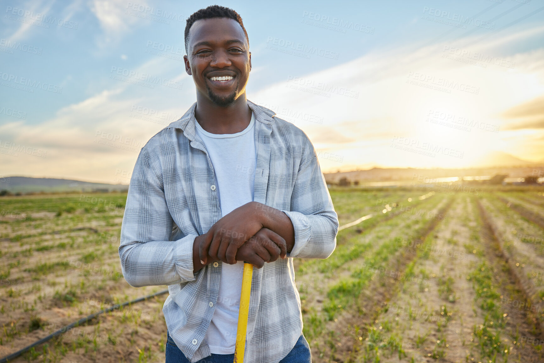 Buy stock photo Plant, field and portrait with black man on farm for organic, sustainability and growth. Smile, agriculture and sunset with person in Kenya countryside for nature, summer ecology and environment