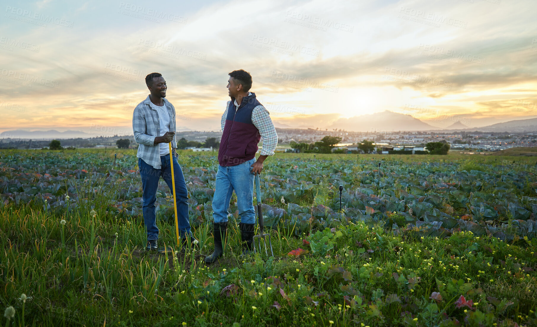 Buy stock photo Shot of two farmers standing on a farm during sunset