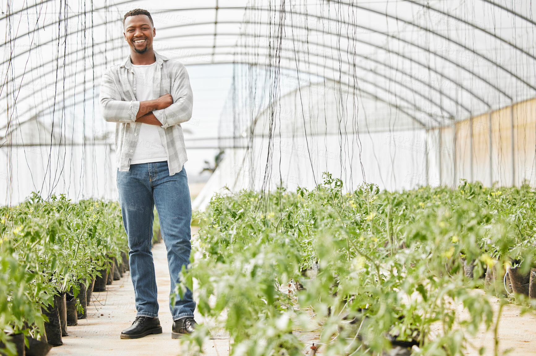 Buy stock photo Greenhouse, black man and portrait with pride for farming, inspection and sustainability for growth. Countryside, male person or farmer with plants for gardening, crops progress and arms crossed