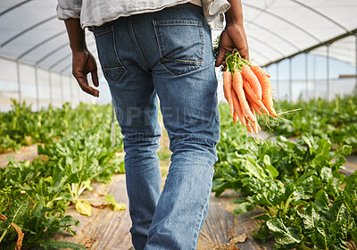 Buy stock photo Rearview shot of an unrecognizable man working on his farm