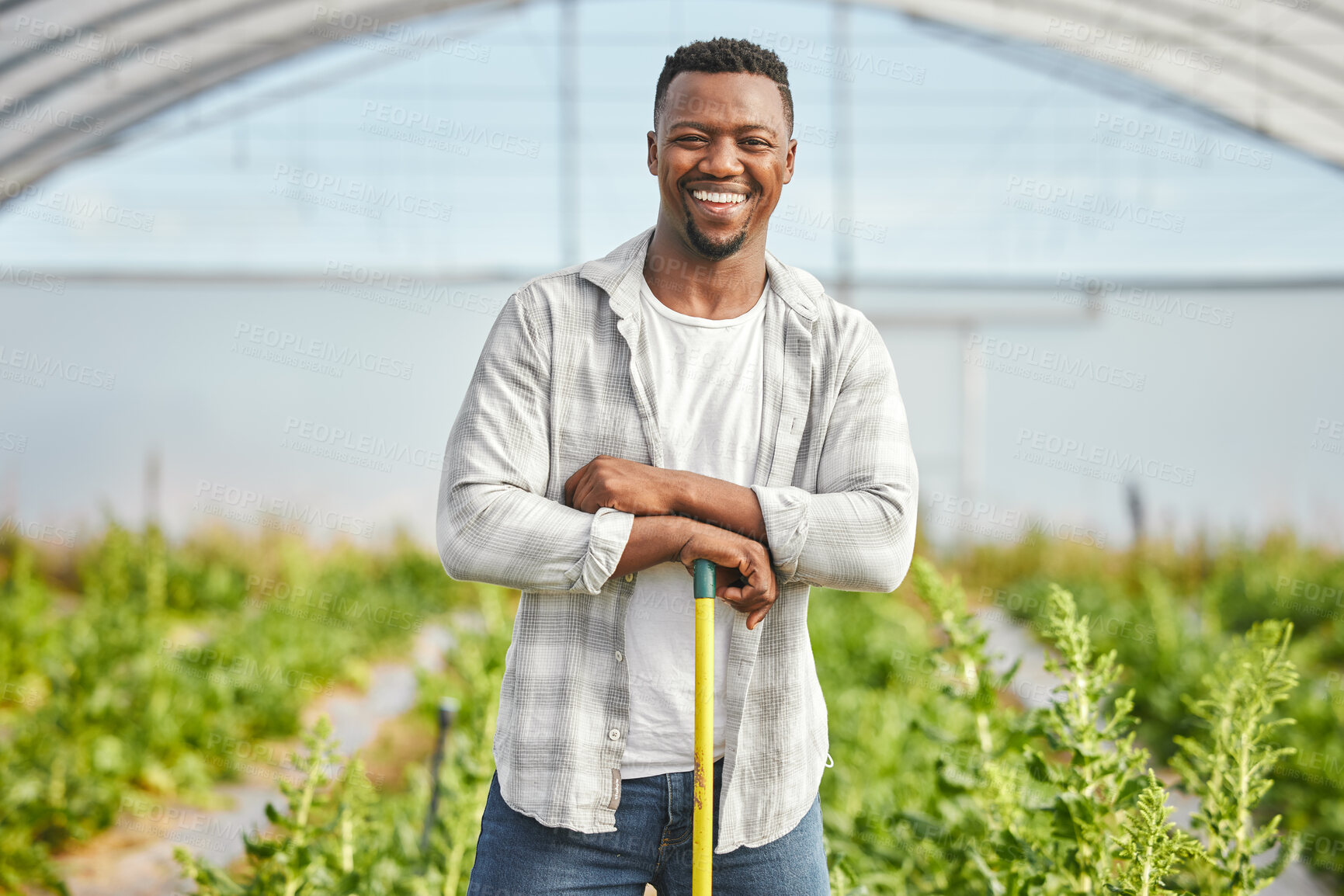 Buy stock photo Greenhouse, black man or portrait of farmer with crops for farming, natural growth or sustainability. Small business, confident seller or proud gardener with plants for gardening or organic progress