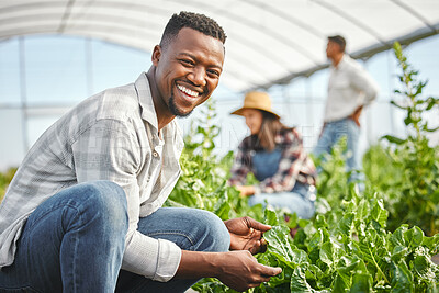 Buy stock photo Inspection, farming and happy black man in greenhouse with crops for vegetables, growth or sustainability. Countryside, African farmer or gardener with smile for gardening, organic progress or plants