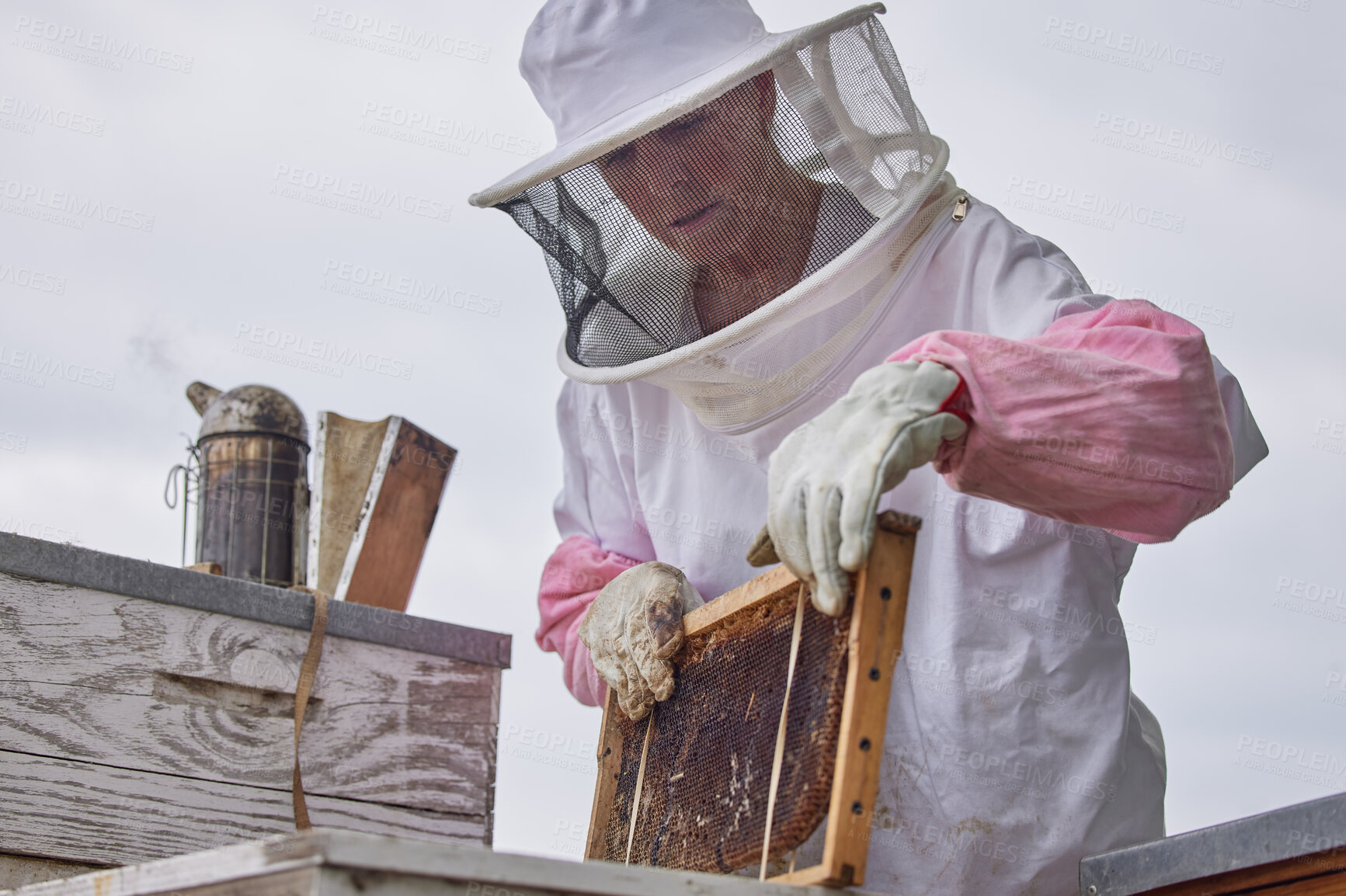 Buy stock photo Shot of a beekeeper opening a hive frame on a farm