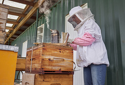 Buy stock photo Shot of a beekeeper using a bee smoker while working on a farm