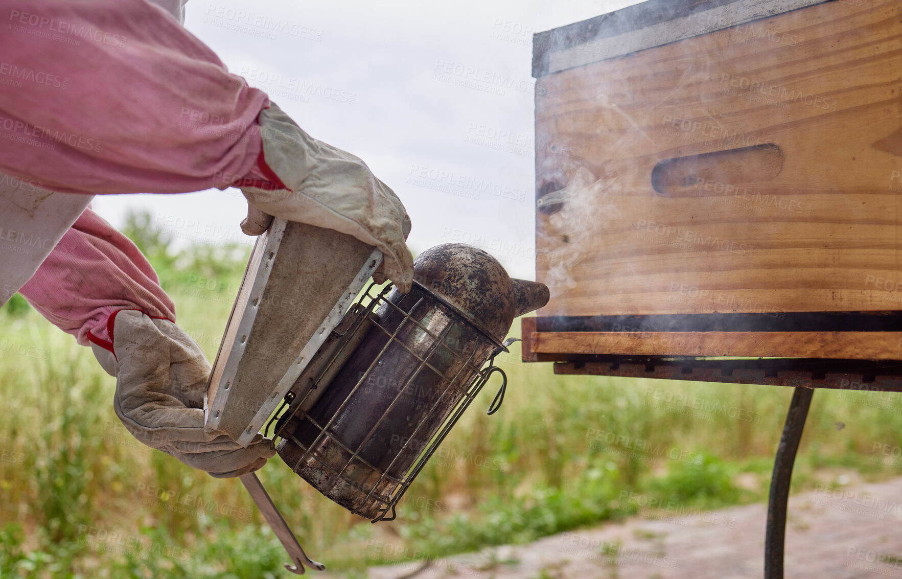 Buy stock photo Shot of a beekeeper using a bee smoker while working on a farm