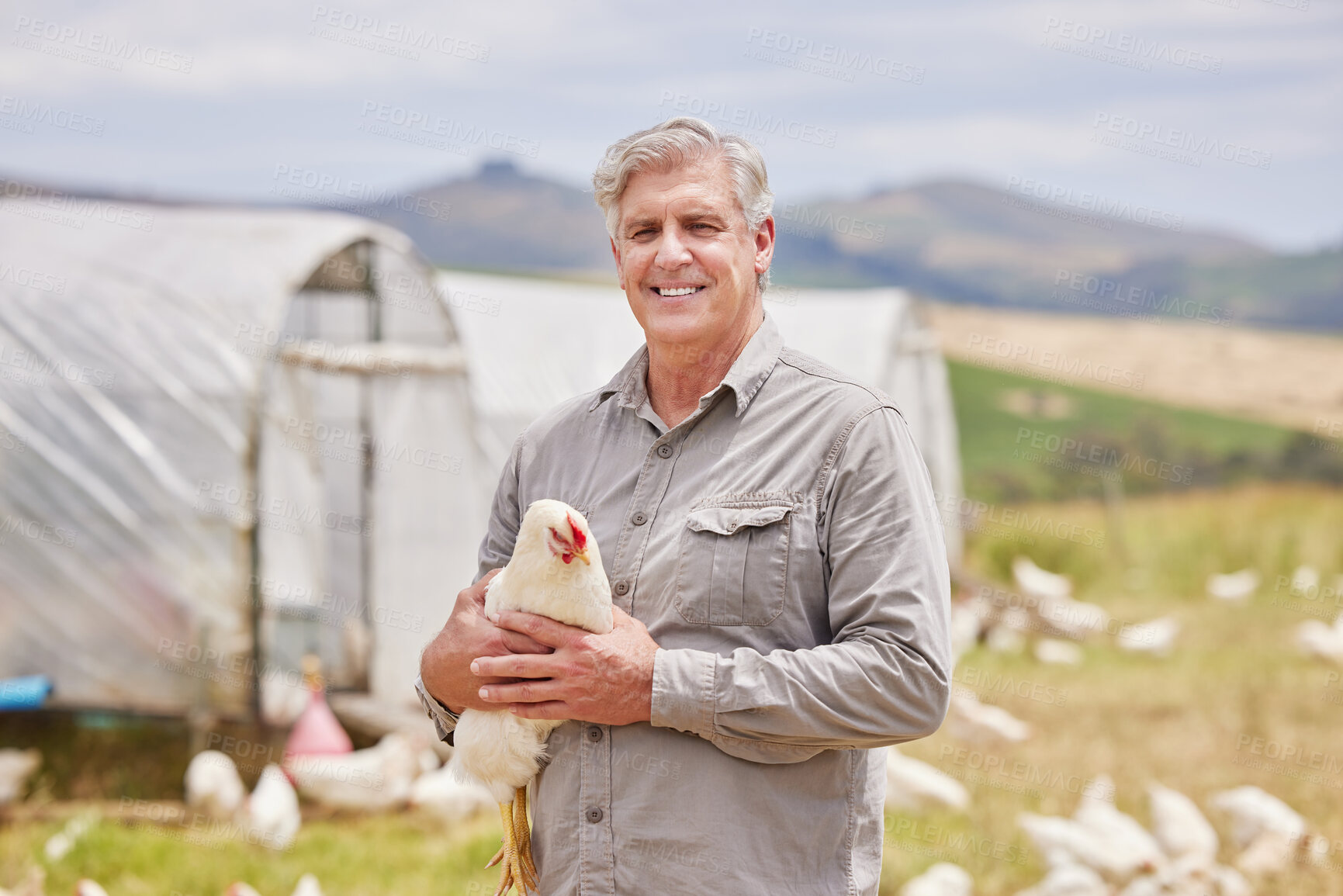 Buy stock photo Portrait of a mature man working on a poultry farm