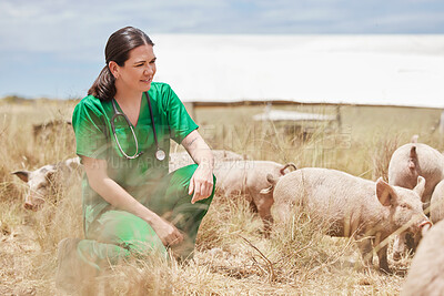 Buy stock photo Shot of a female veterinarian  on a farm with pigs