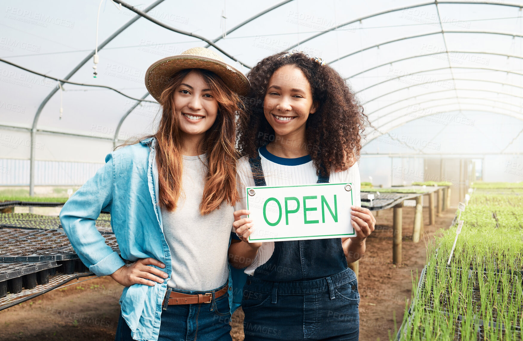 Buy stock photo Cropped portrait of two attractive young woman holding an open sign while standing in a greenhouse on a farm