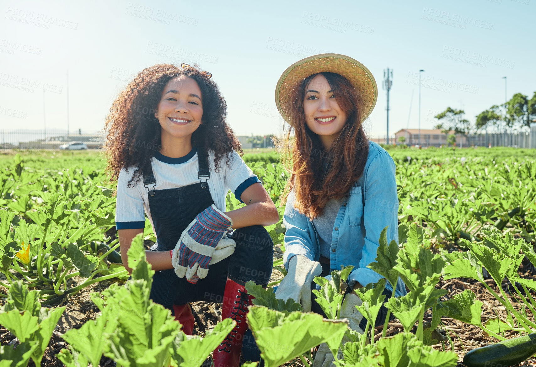 Buy stock photo Shot of two female farmers working together