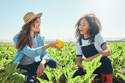 Buy stock photo Shot of a female farmer giving her coworker a freshly picked pepper