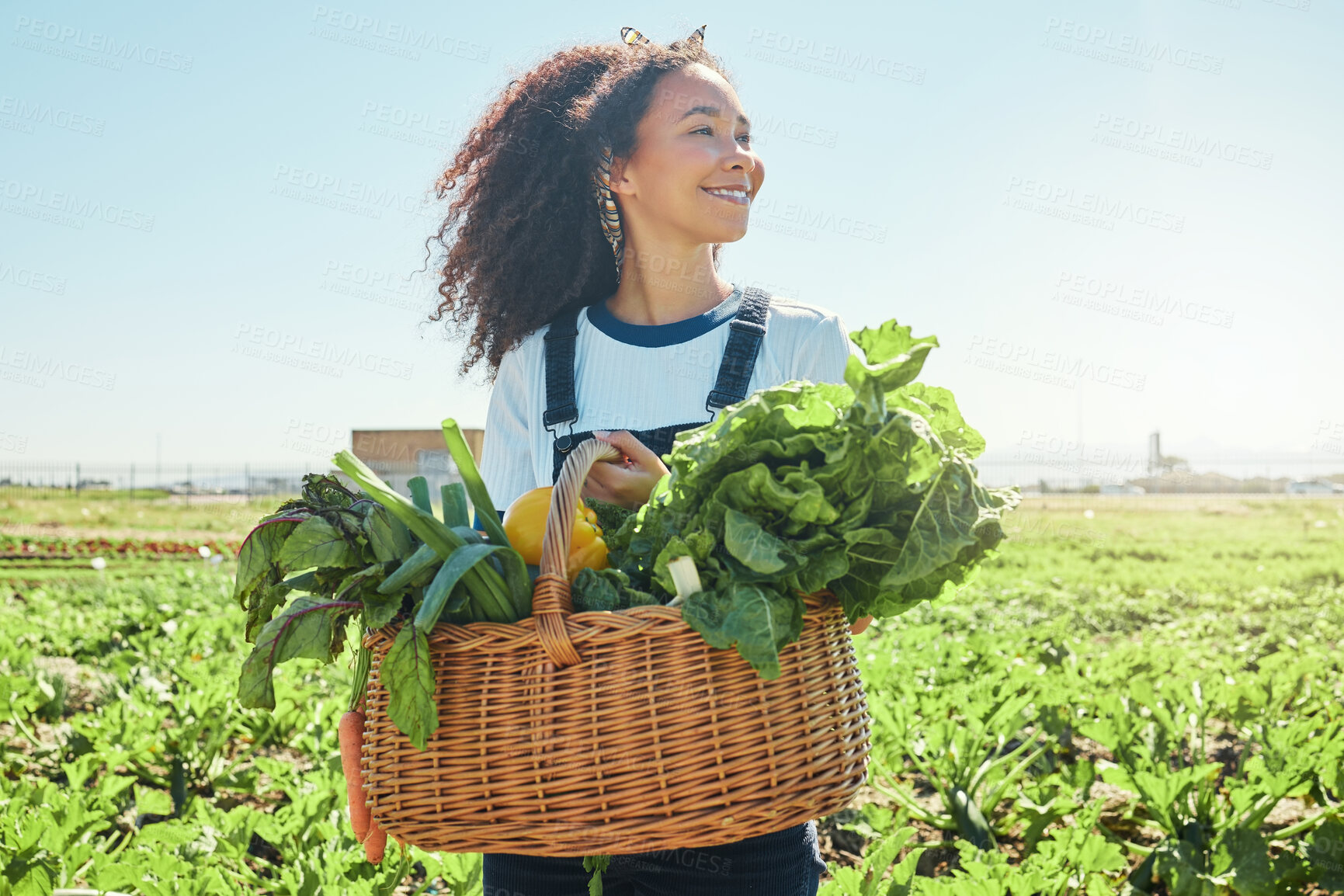 Buy stock photo Farming, woman and vegetables harvest in basket for sustainability, agricultural business and natural produce. Farmer, person and happy with organic food for supply chain, gardening and fresh crops